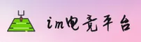 IM电竞(IM)官方网站 - 官方正版入口